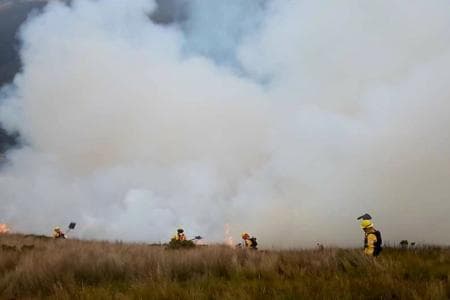 Bomberos de Quito combaten un incendio forestal en el cerro Puntas