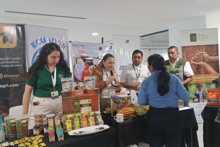 Cacaoteros esperan que Europa extienda el plazo para cumplir con la norma sobre deforestación